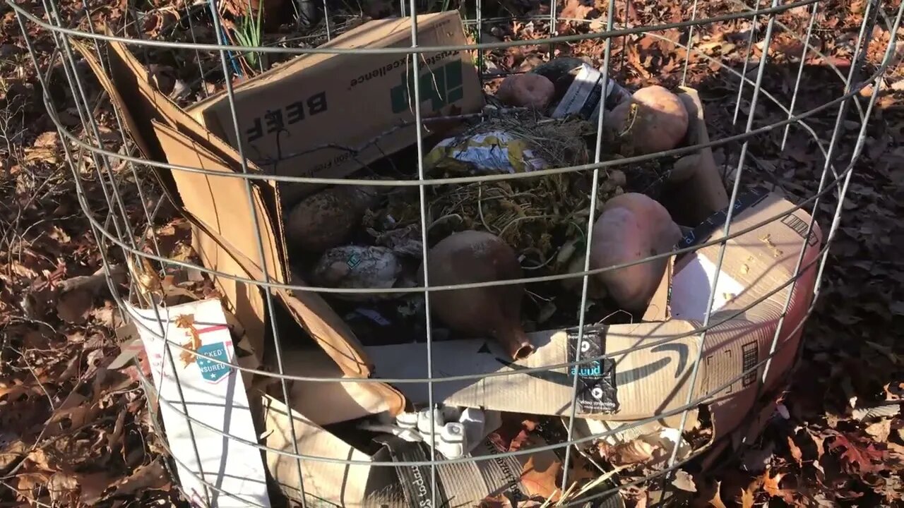 How to keep critters out of your compost