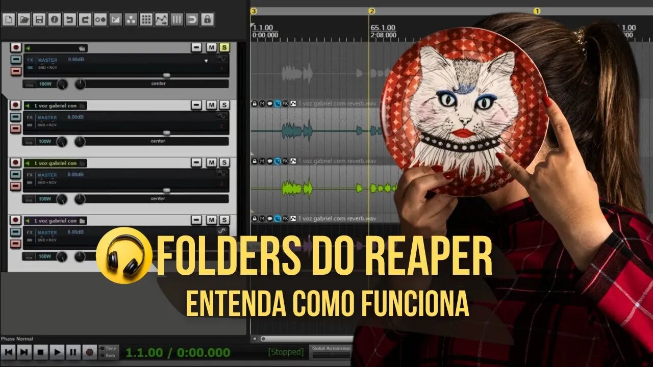 Como Funciona os Folders no Reaper