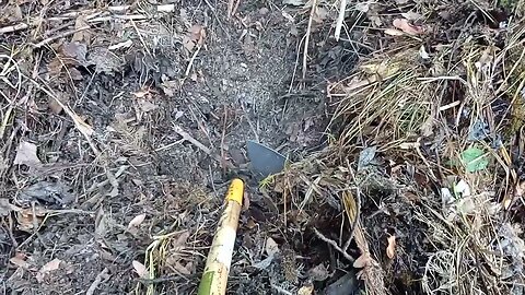 Giant Steaming Compost Pile #composting