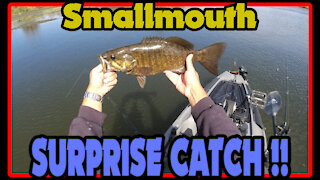 Smallmouth Bass Slams Lure Hanging Over Side of Native Slayer Max 12.5 Kayak!!!