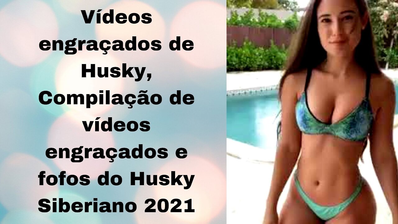 Vídeos engraçados de Husky, Compilação de vídeos engraçados e fofos do Husky Siberiano 2021