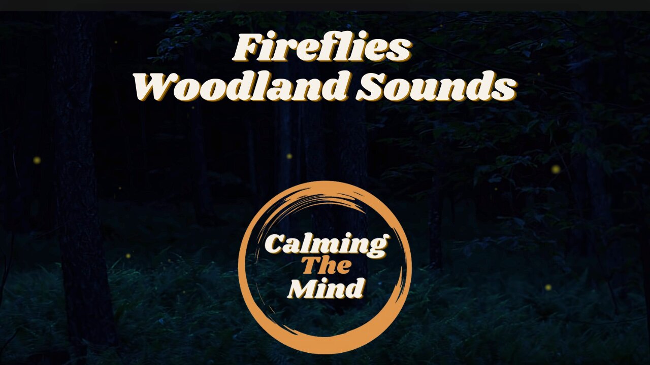 5 Hour Fireflies and Woodland Sounds | Sleep | Study | Meditate | Screen Background