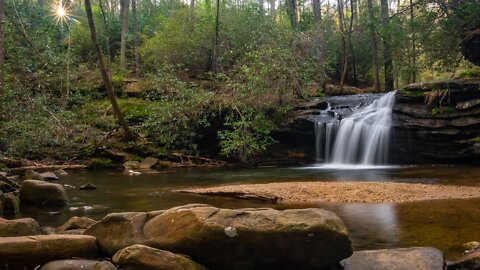 Carrick Creek Loop Trail