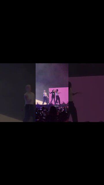 Rosalia ◉ #Lollapalooza 2023 📅 18.03.2023 🎵 Linda 🎵 #lollacl #lollacl2023 #lollapaloozachile