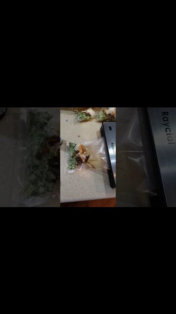 racial brand food saver review #review #fitness #mealprep #foodsaver