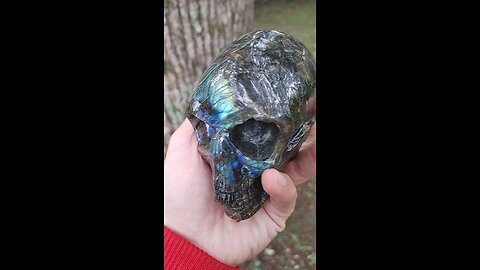 Grounding Oak Tree anchor with Labradorite Master Crystal Skull Omegas Li