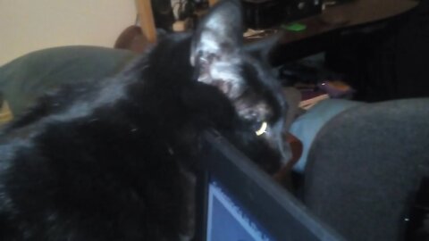 Midnight Being Midnight