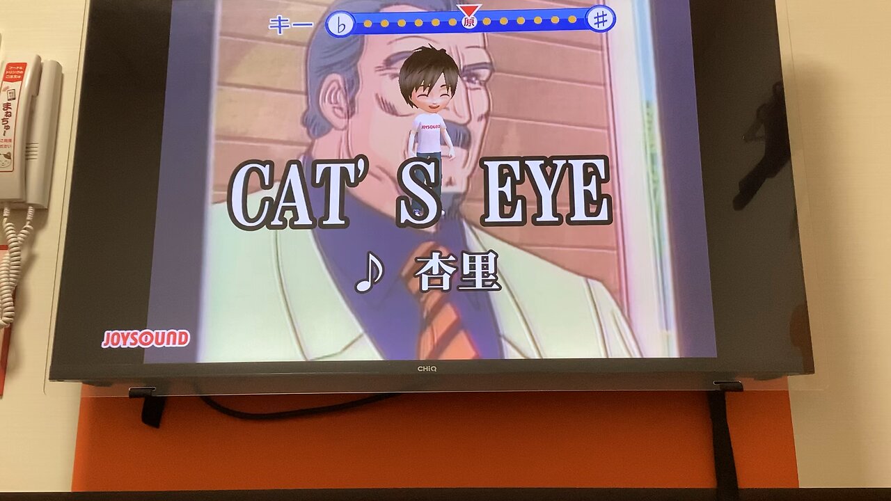 CAT S EYE Anime