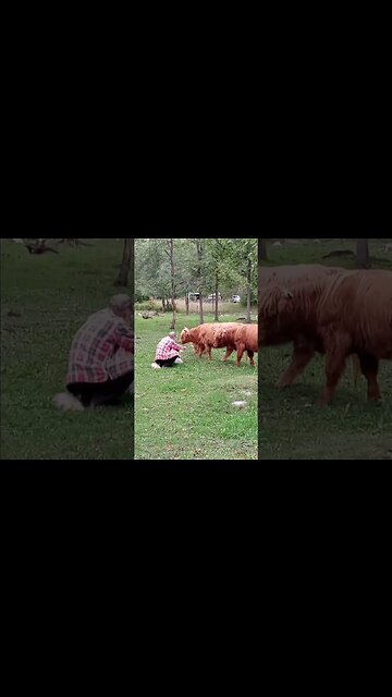 Last afternoon with these 3