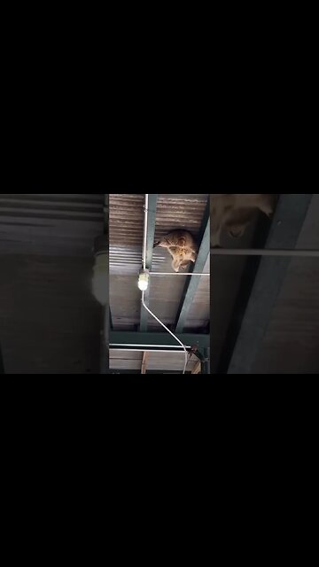 Me: trying to balance my budget during inflation