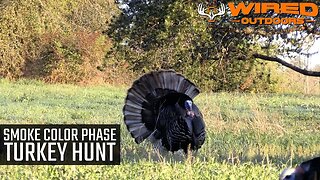 Smoke Color Phase Turkey Hunt