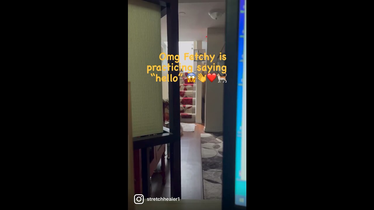 OMG! 😱😱😱
