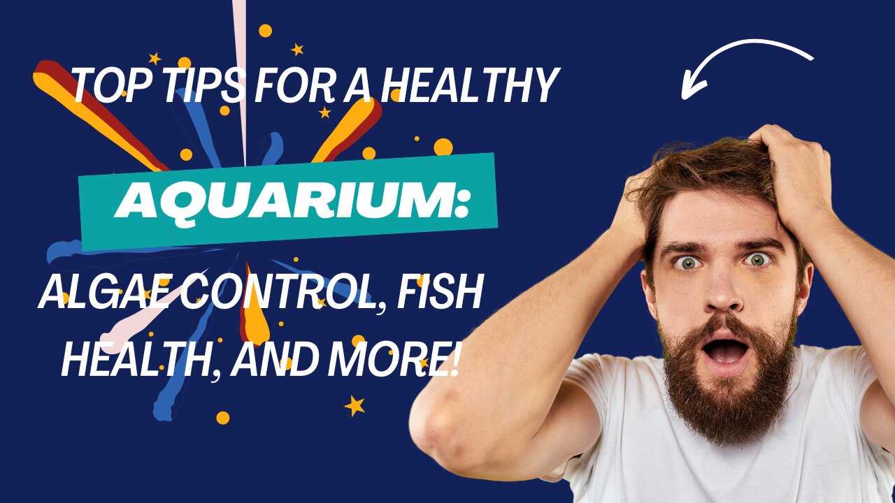 Top Tips for a Healthy Aquarium: Algae Control, Fish Health, and More!