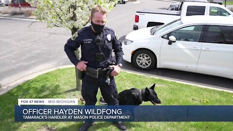 During the hiring process I told them that it was my five-year plan to become a K-9 officer