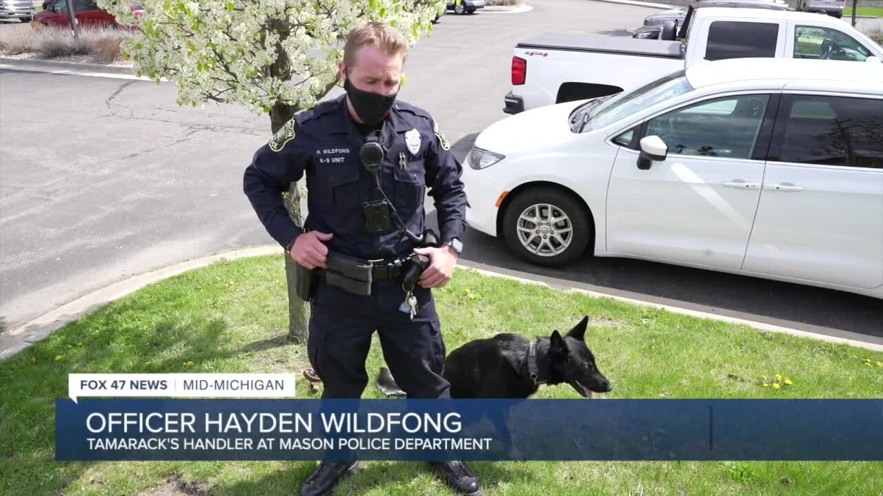 During the hiring process I told them that it was my five-year plan to become a K-9 officer