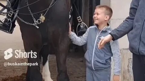 The sweetest moment a kid hugs the kings guards horse so pleased his face shows how happy he is.
