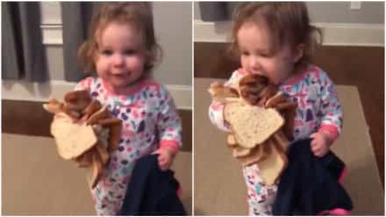 Bimba ruba tutto il pane dalla cucina!