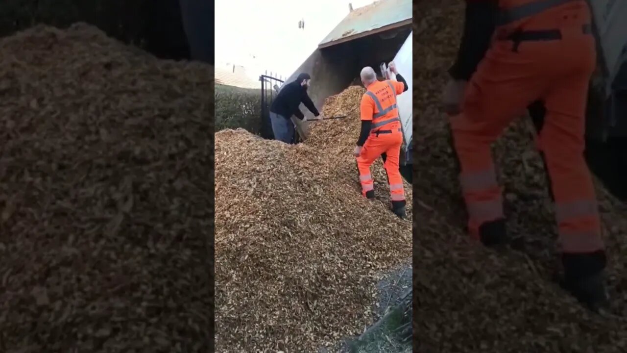 It's raining chips