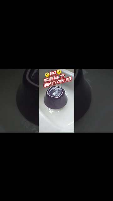 YOU CAN'T DEBATE FACTS! #icewall #flatearth #facts #water