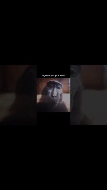 mention your gymbro #aesthetics #bodybuilding