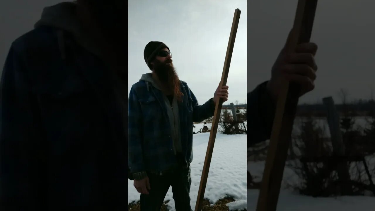 To cure a Beaver - #comedy #skits #skitsbystrangedanimal #ohhighbud #beaver #missjohnson