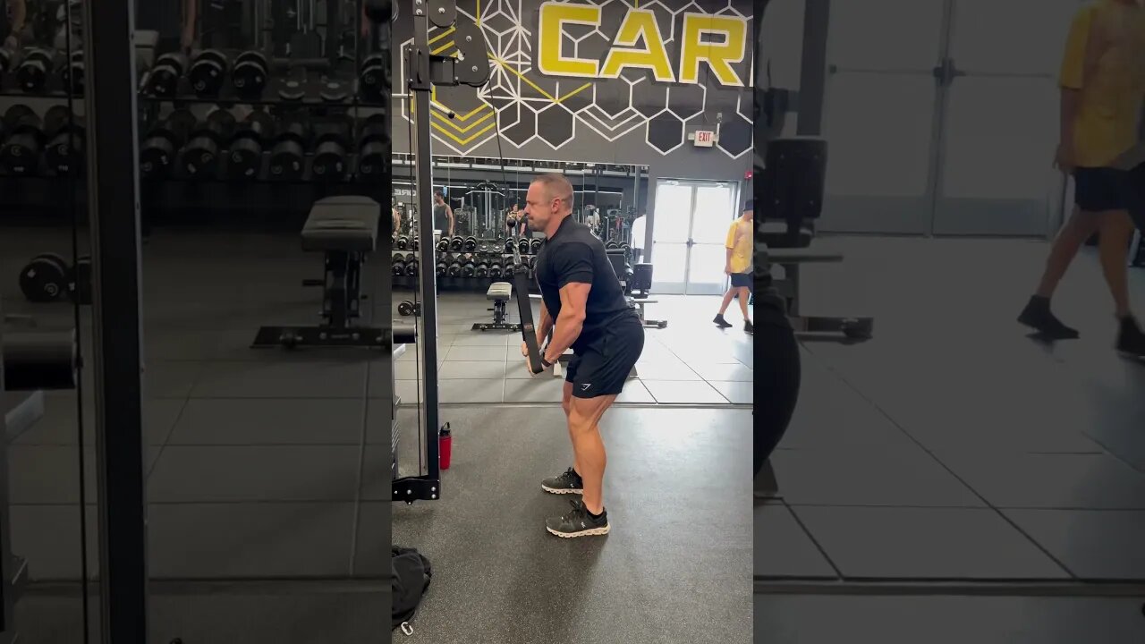 Triceps Pressdowns