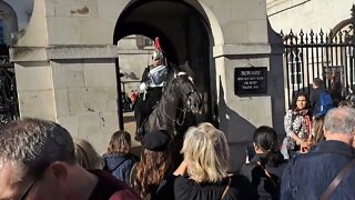 Yanking the Reins from the tourist hands #horseguardsparade