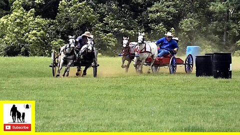 Buckboard Wagon Race - The 1836 Chuckwagon Races 2022