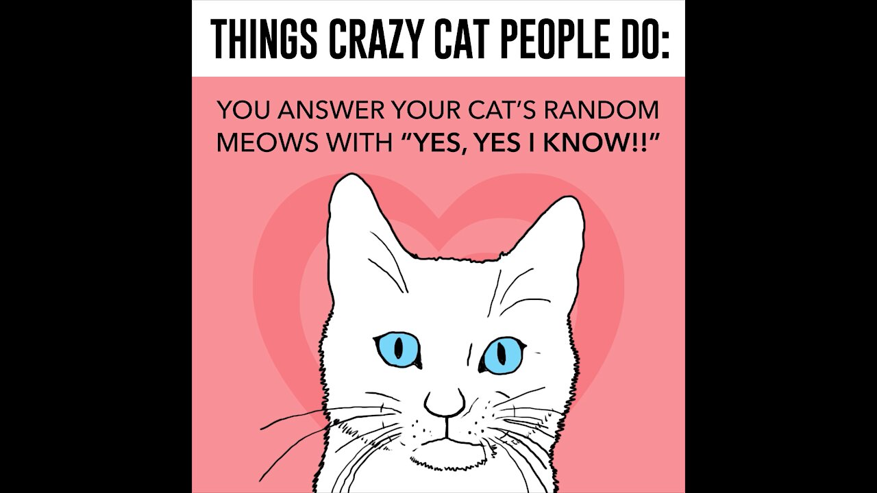 Things Crazy Cat People Do [GMG Originals]