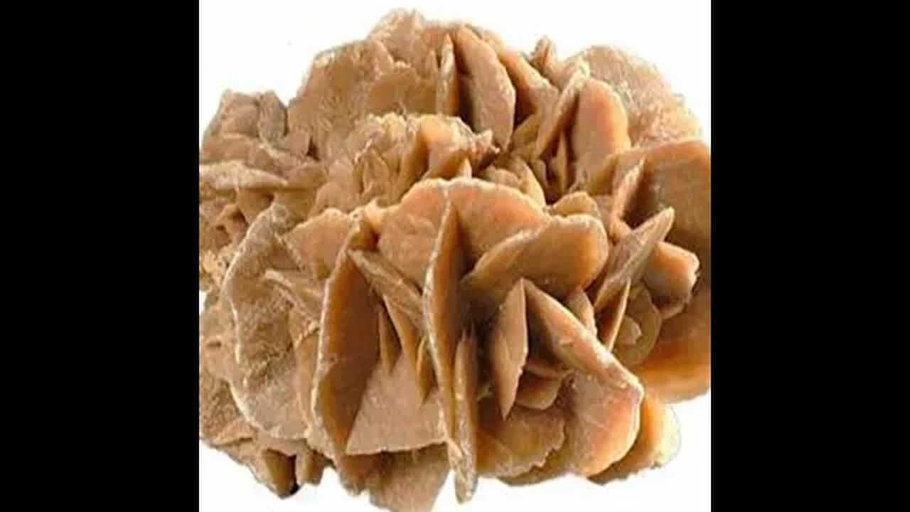 DESERT ROSE