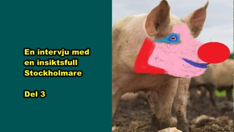 En intervju med en insiktsfull Stockholmare 3(3)