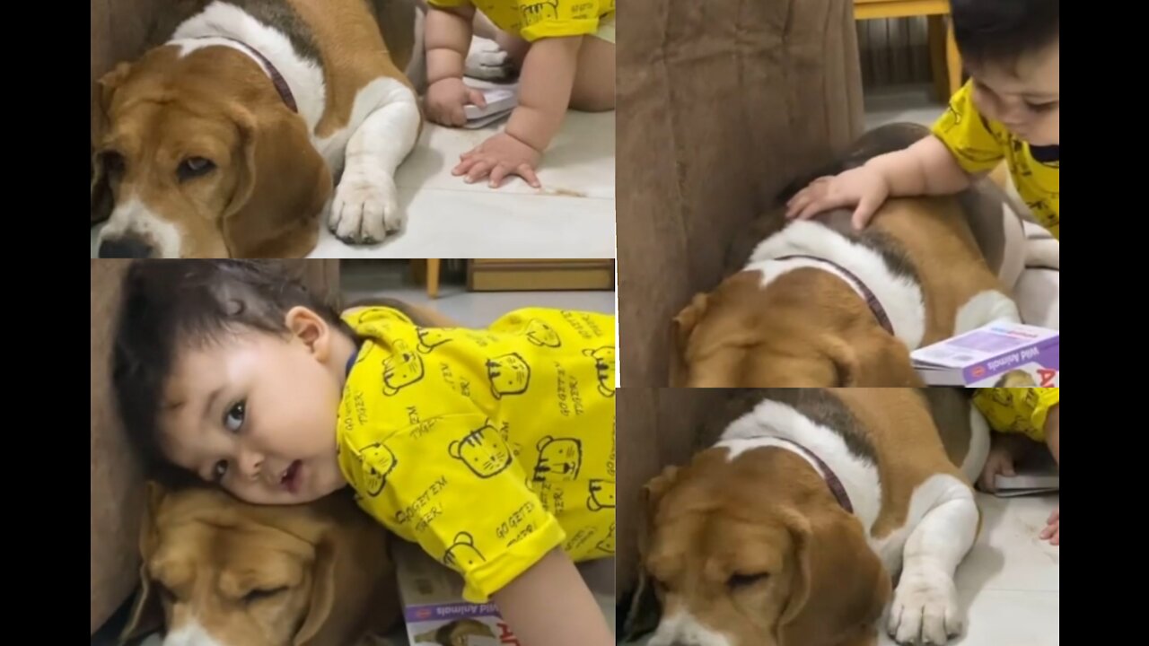 Baby preciously cuddles with doggy best friend