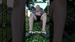 #maurieo #shorts CHIPPING