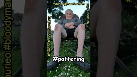 #maurieo #shorts CHIPPING