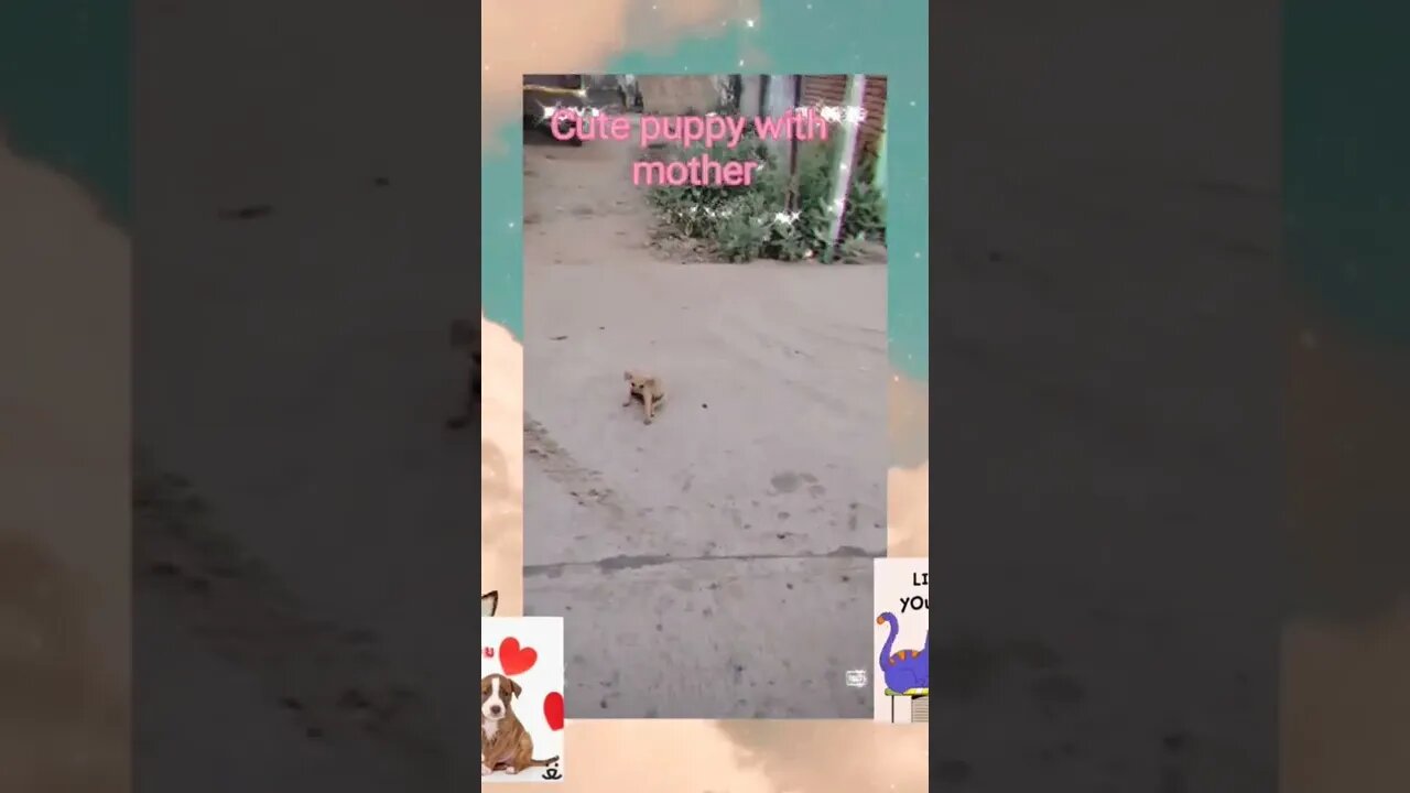 Cute 🐶 puppy with mother 🐕,#Shorts,#puppy,#animalloverworldmother dog and cute puppies,#mother dog