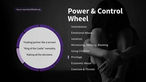 Sense of Privilege on the Wheel of Power and Control | Taking Action Against Domestic Violence