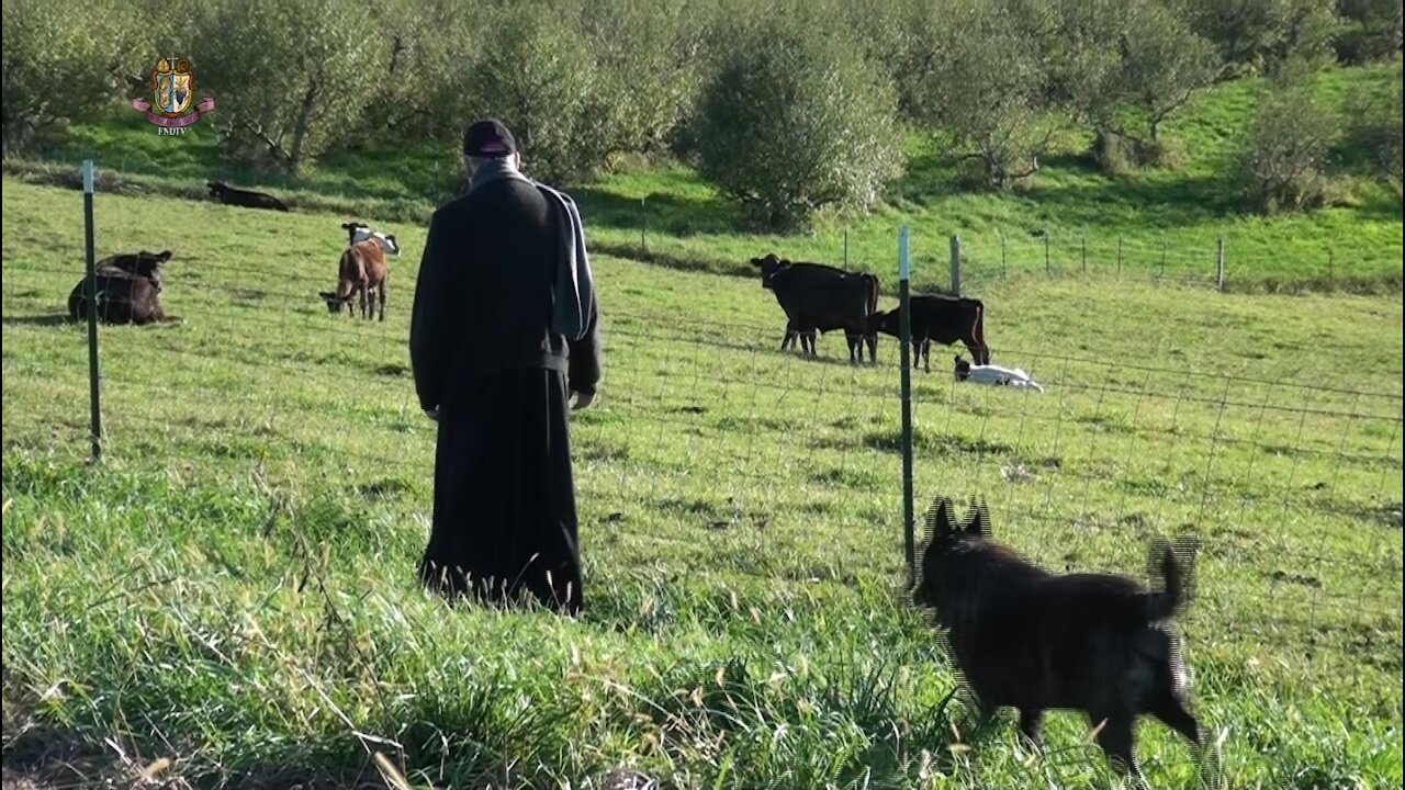 Le lépreux et le pécheur - Mgr. Jean Marie vous parle