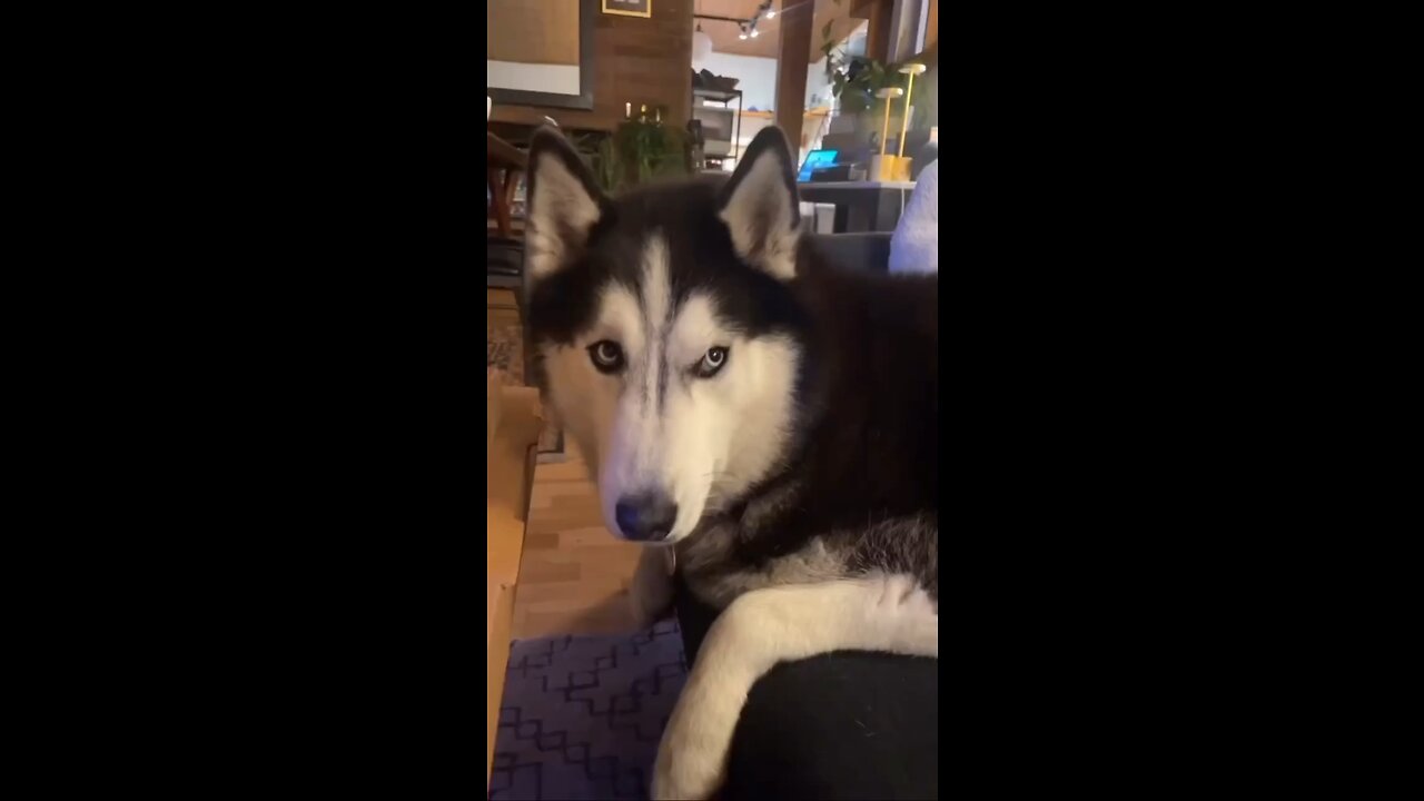🤣