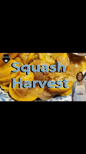 Fresh Organic Squash