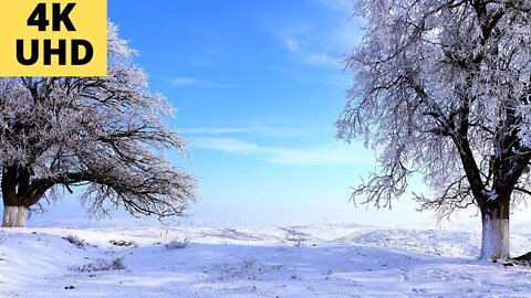 НОВАЯ ПЕСНЯ Тамара_Адамова_Сайн_дог_ас_хьуна_д1алур_ду 2022 Чеченские песни