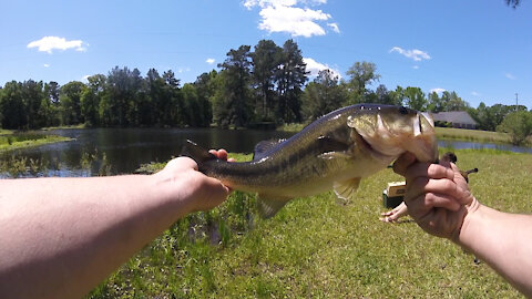 Fishing With Friends