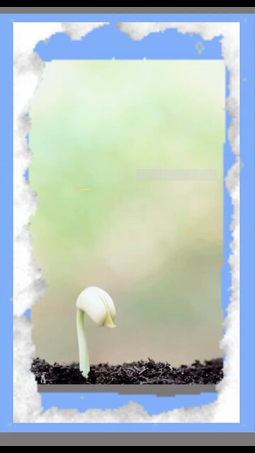 What took you away from Allah?