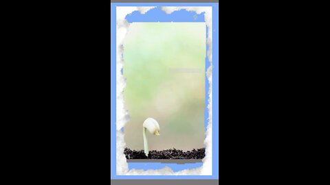 What took you away from Allah?