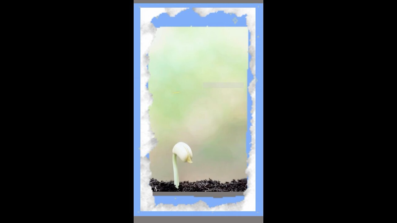 What took you away from Allah?