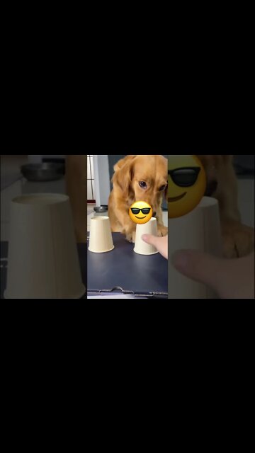 Looking for Fortune Teller to tell Your Destiny?? ..then you must see this ,#short