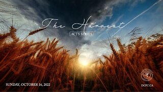 The Harvest | October 16 2022 | Pastor Anita