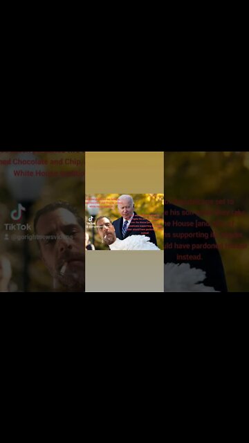 Biden Pardoned A Turkey