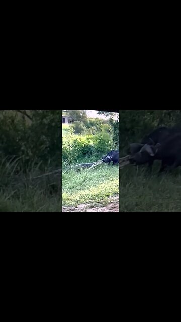 Like a Boss!!! All by myself!!!