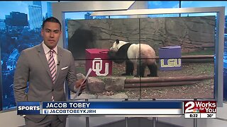 Panda Chooses Sooners to Beat LSU