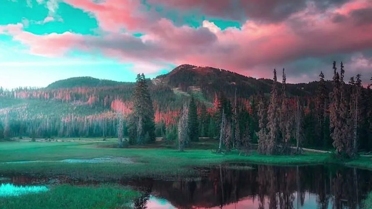 Into the Depths Discovering the Underwater World